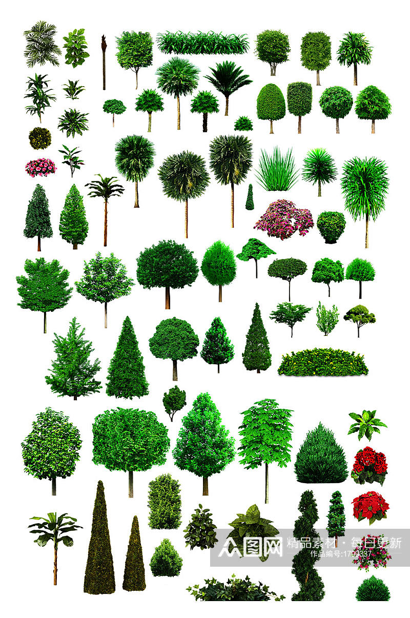 高清园林植物图片素材素材