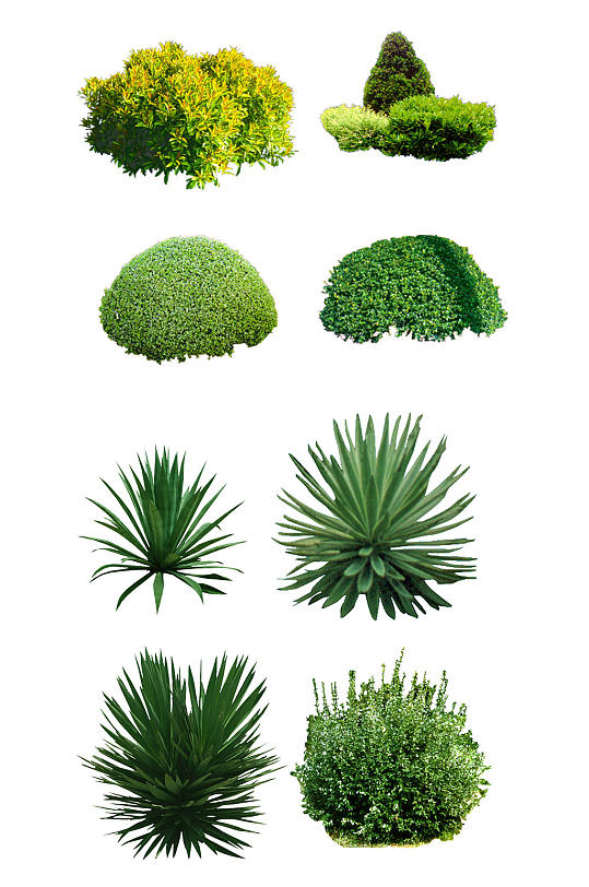 高清园林植物设计素材