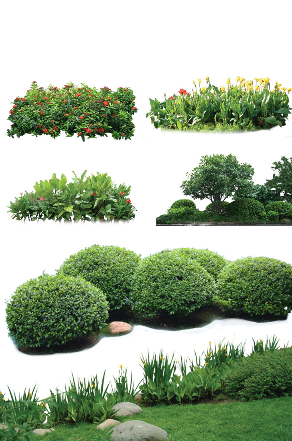 高清园林植物草坪设计素材素材
