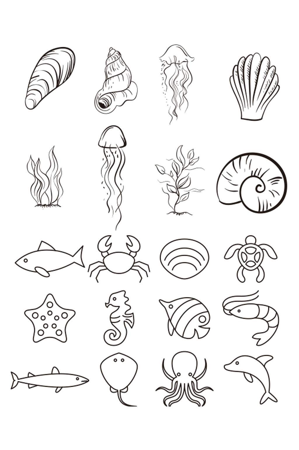 海洋简笔画 浮游生物图片