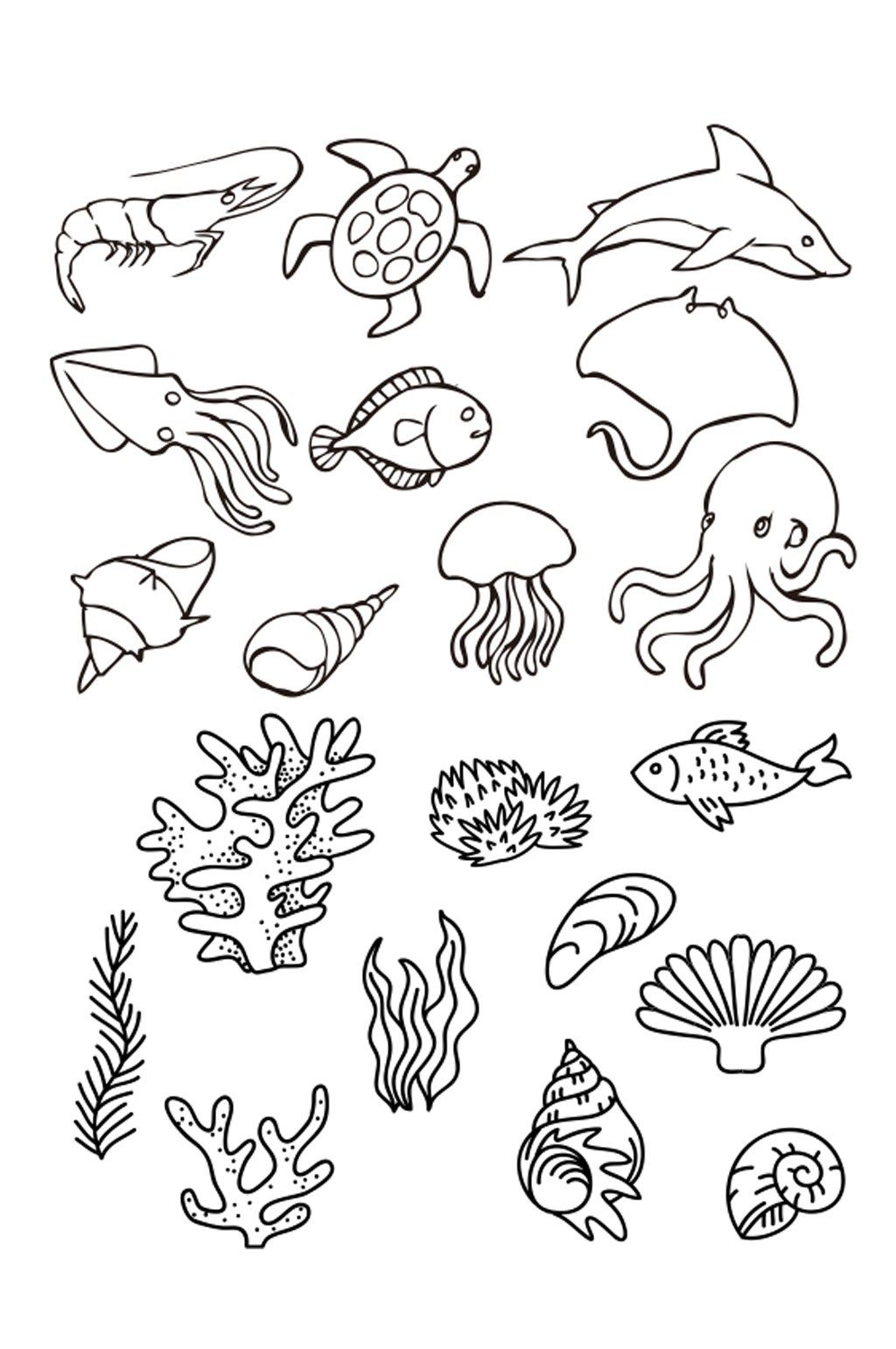 海洋生物简笔画 图画图片
