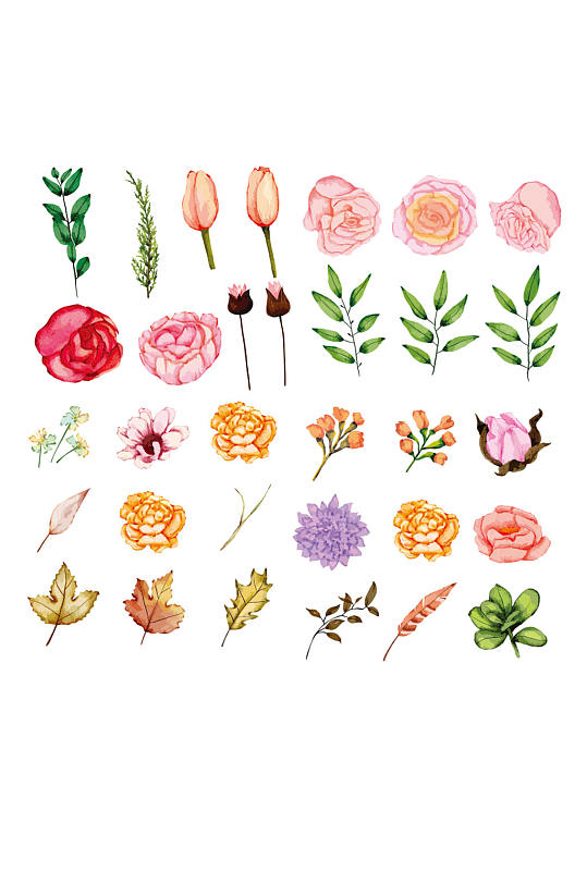 花卉植物简笔画图片-花卉植物简笔画素材-花卉植物简笔画模板大全