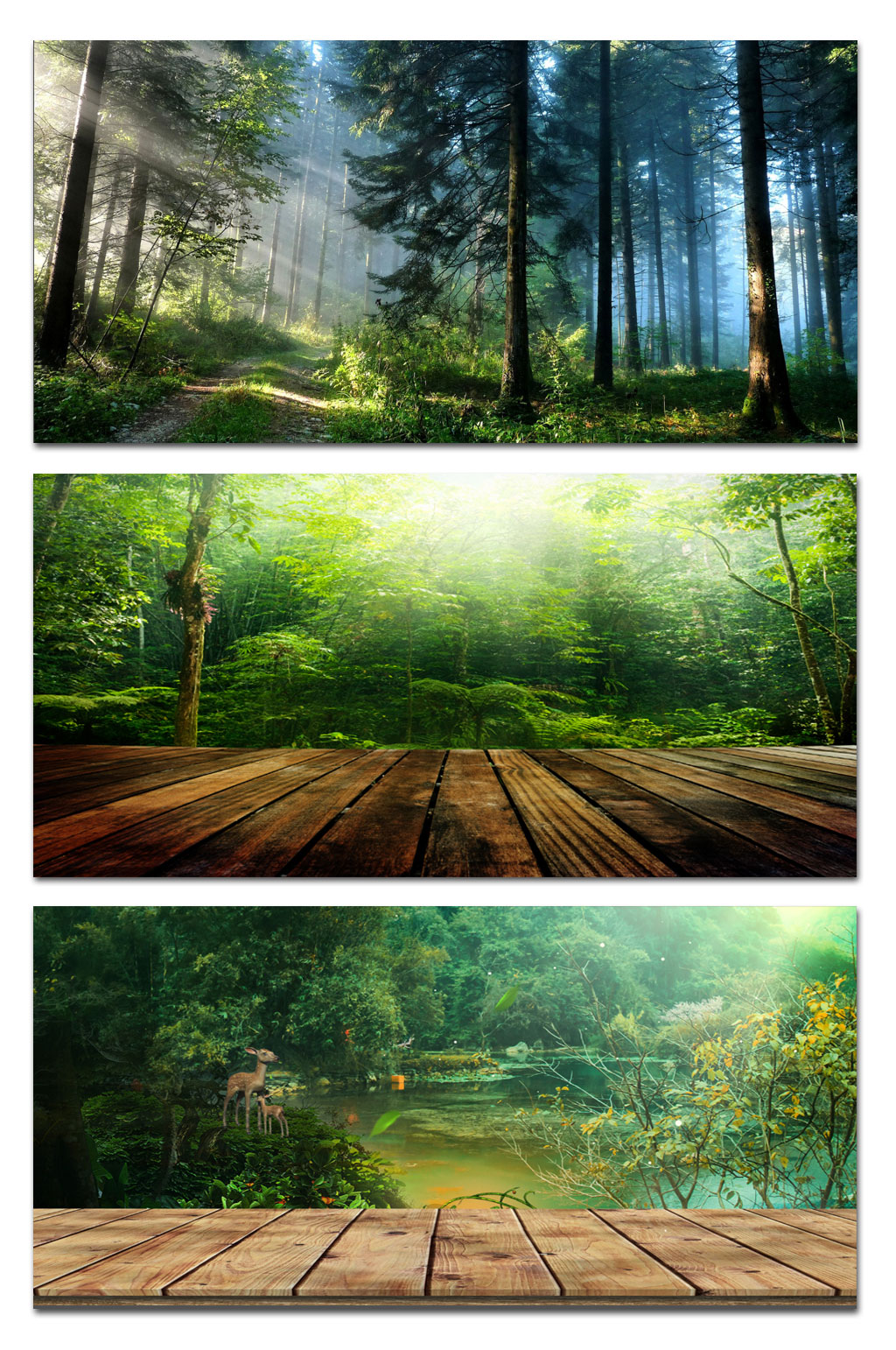 简约绿色森林展板背景素材