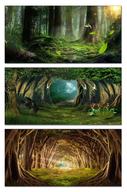 绿色森林展板背景-众图网