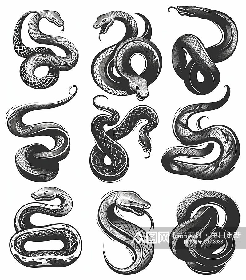 数字艺术蛇形插画纹身图案素材