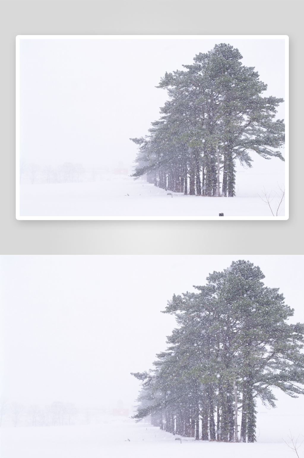 数字艺术雪景摄影素材