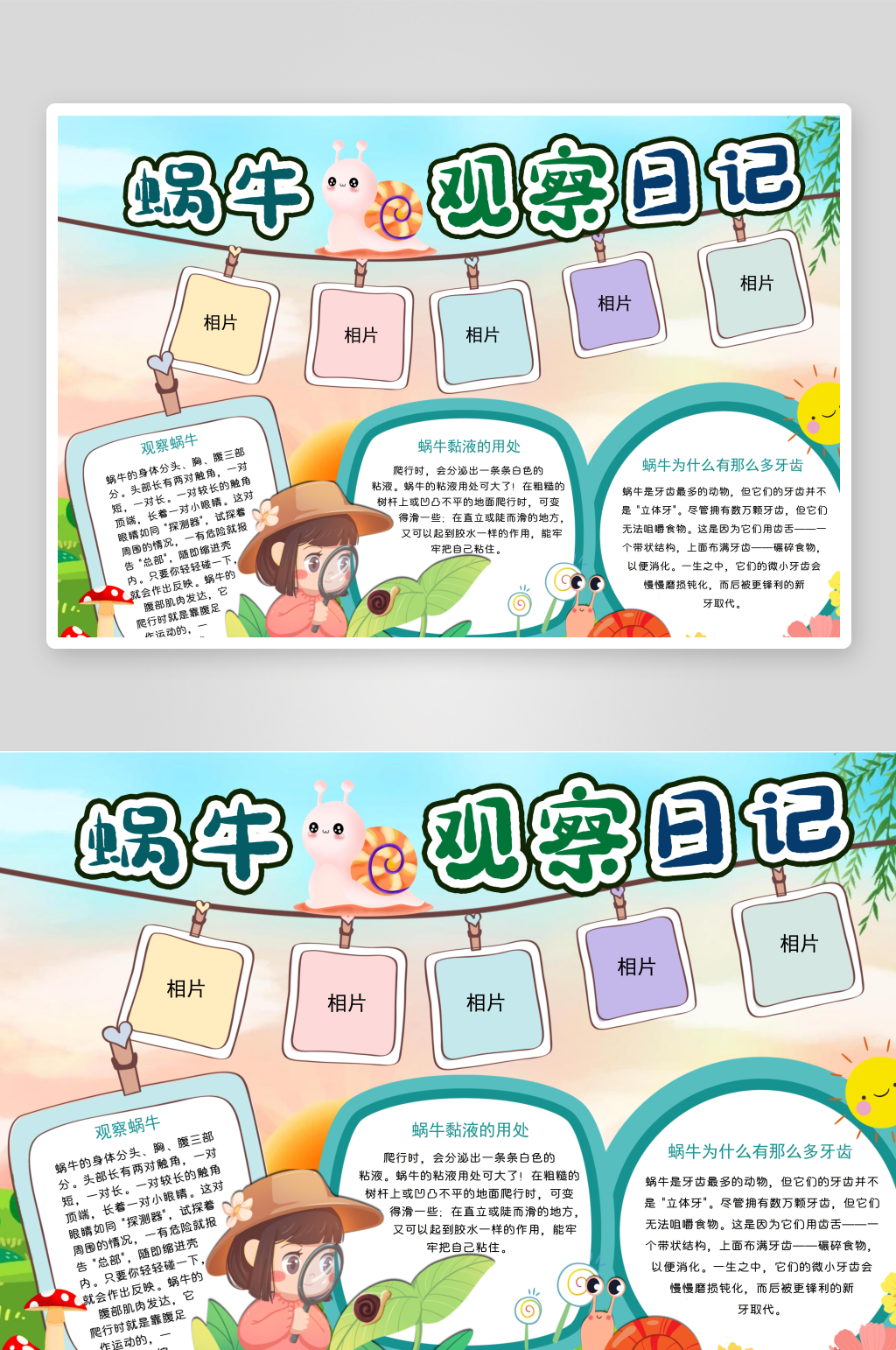 蜗牛成长日记可爱的蜗牛手抄报小报素材