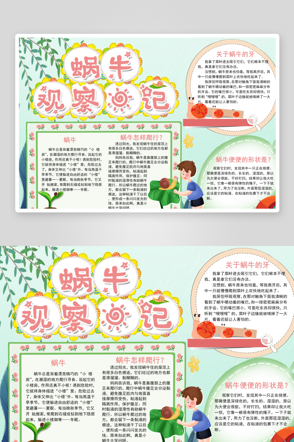 蜗牛成长日记可爱的蜗牛手抄报小报素材