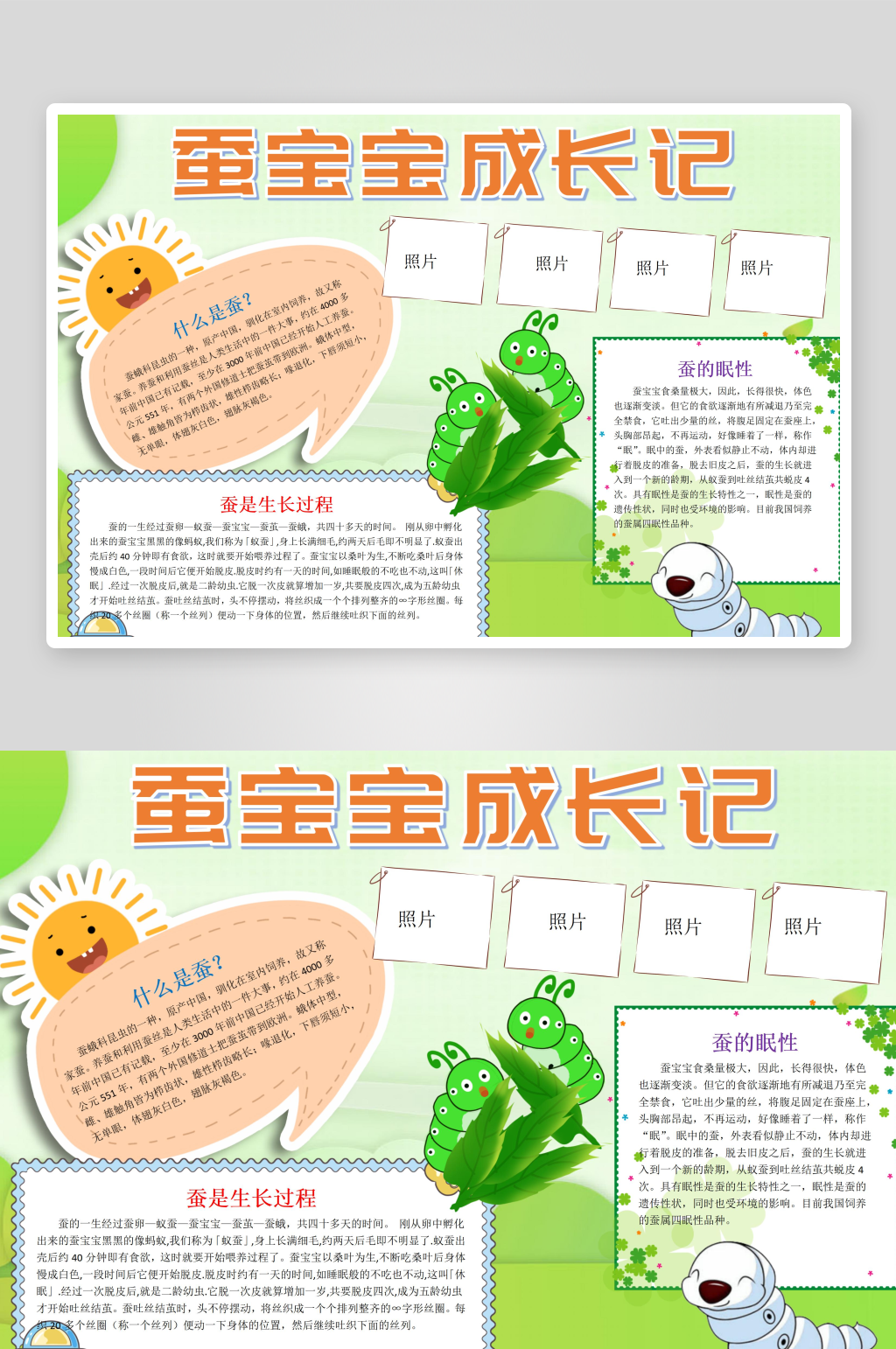 蚕宝宝成长日记手抄报小报素材