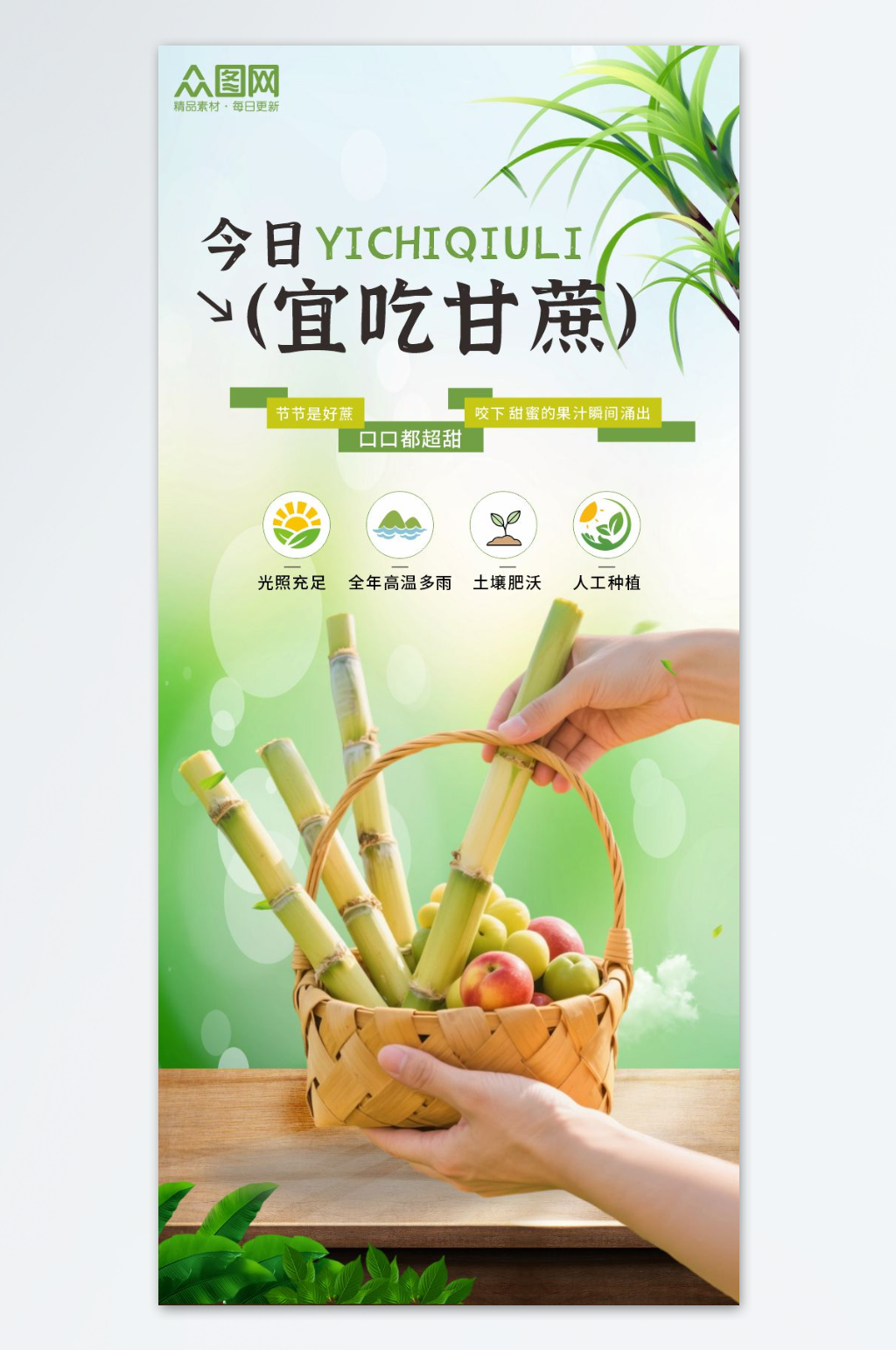 简约甘蔗水果宣传海报素材