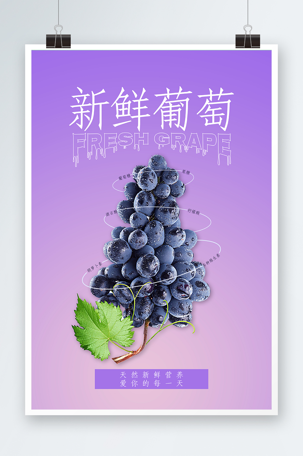 新鲜葡萄海报紫色素材