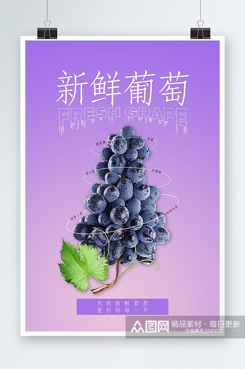 新鲜葡萄海报紫色素材