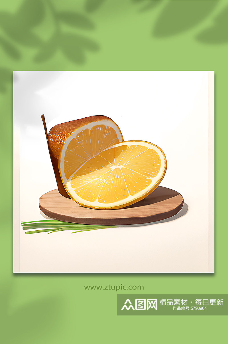 橙皮类橙子水果7素材