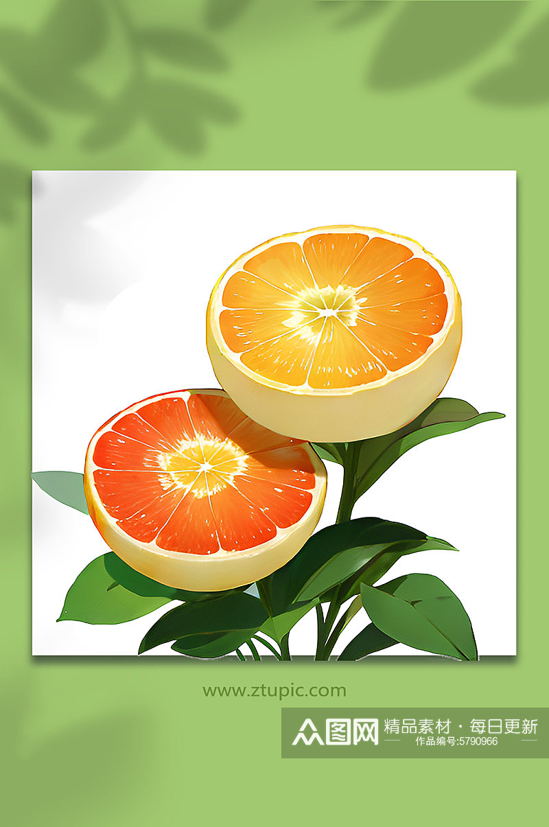 橙皮类橙子水果9素材