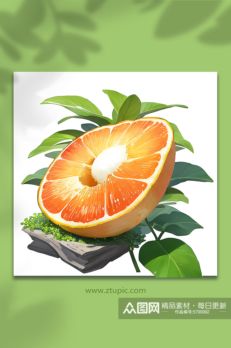 橙色橙子柚子水果7素材