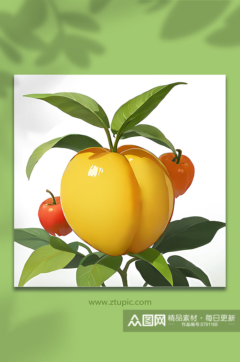 水果果实植物素材7素材