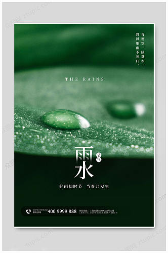 绿色雨水时节二十四节气海报