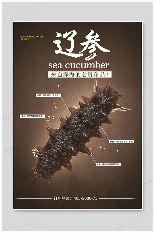 海参海鲜促销海报