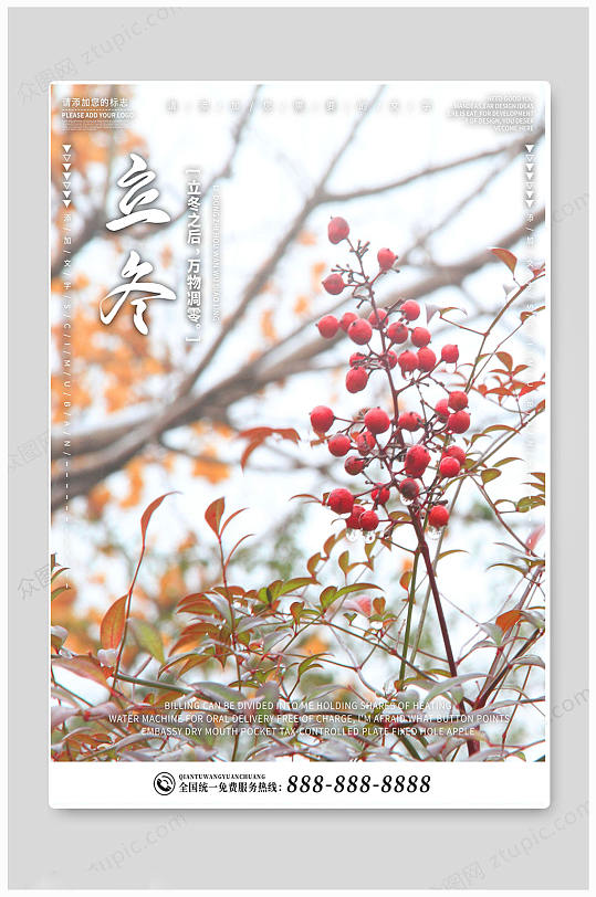 华丽植物立冬节气海报
