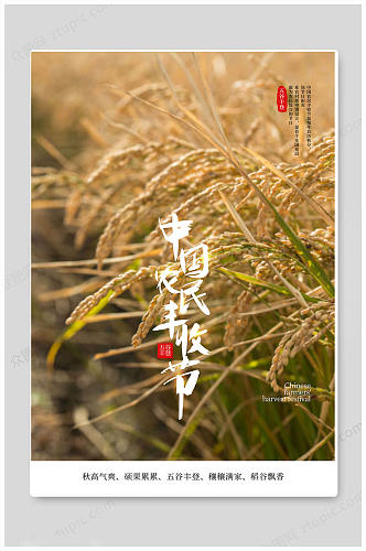 创意大气中国农民丰收节海报