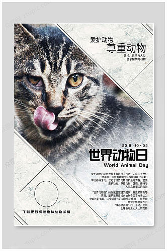 创意小猫世界动物日海报