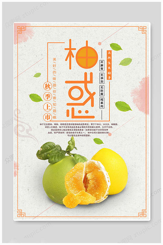 白色大气新鲜水果柚子上市海报