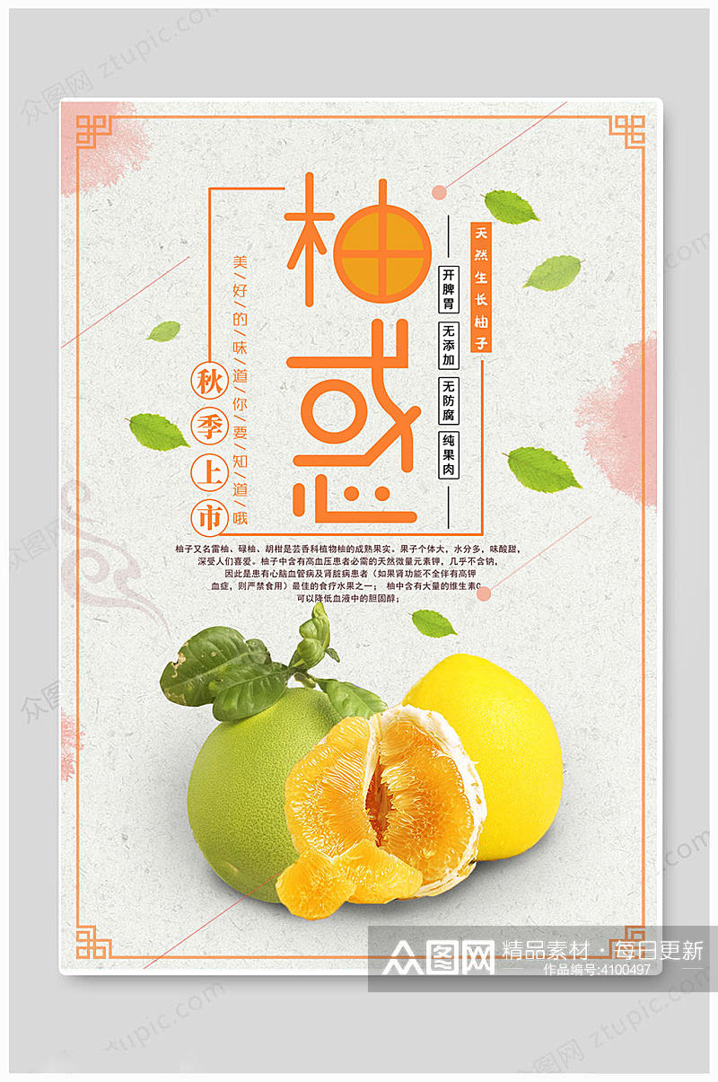 白色大气新鲜水果柚子上市海报素材