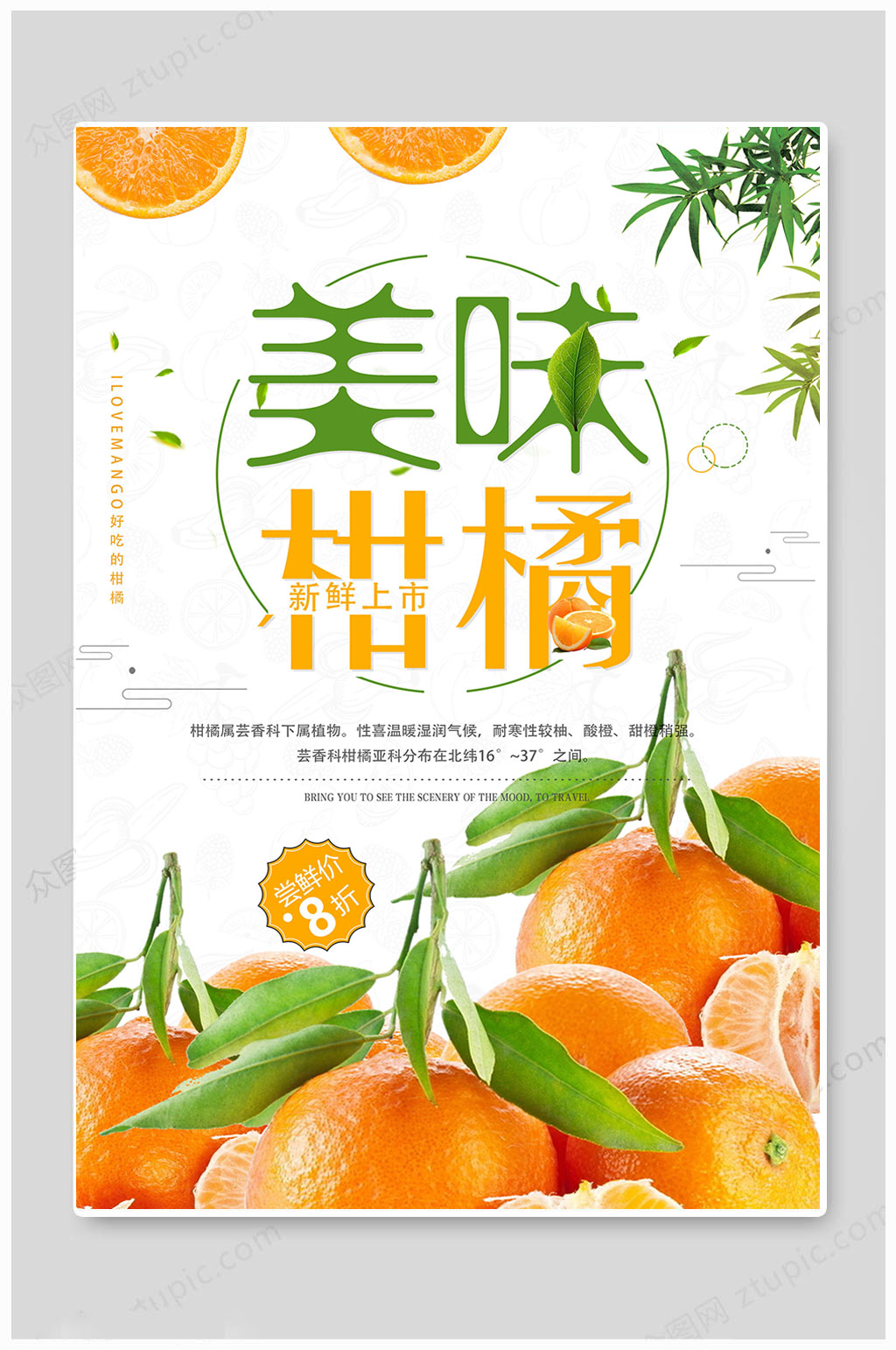 白色甘甜新鲜水果橘子上市海报素材