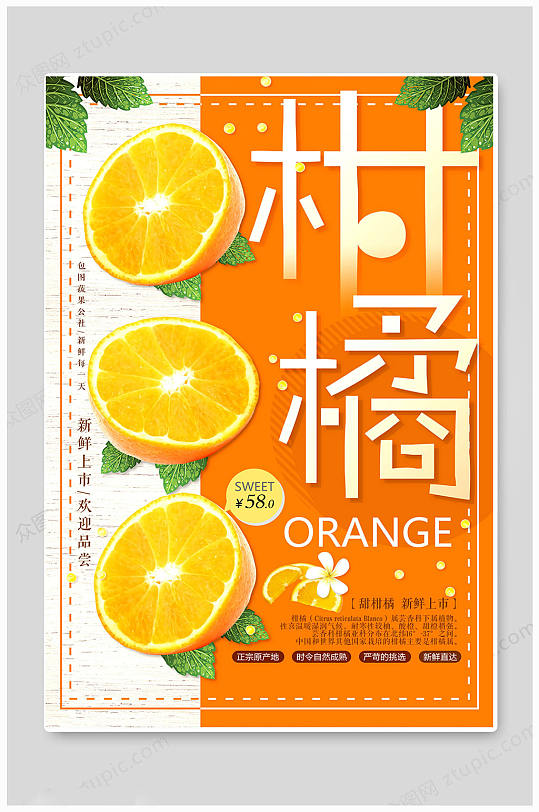 黄色新鲜水果 橘子 上市 海报