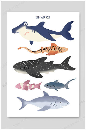 白色大气卡通海洋生物动物海底世界插画海报