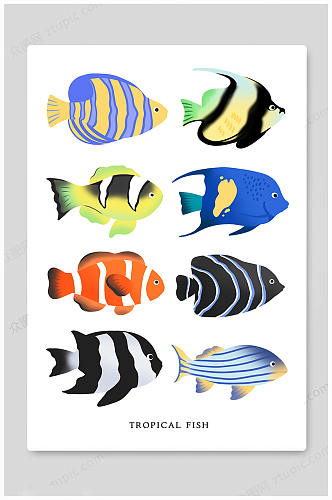 时尚大气卡通海洋生物动物海底世界插画海报