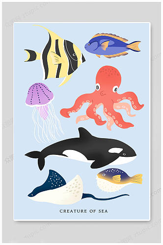 生物动物海底世界插画海报