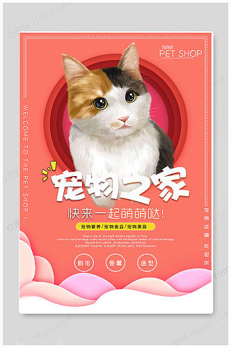 粉色萌系宠物宣传海报