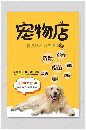 黄色萌系宠物宣传海报