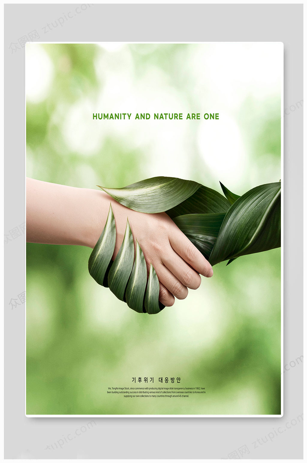绿色大自然海报图片