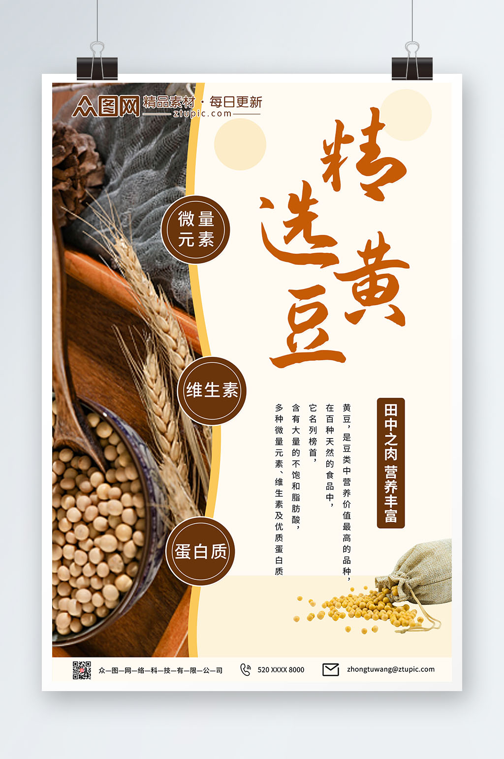 五谷杂粮黄豆精选海报设计素材