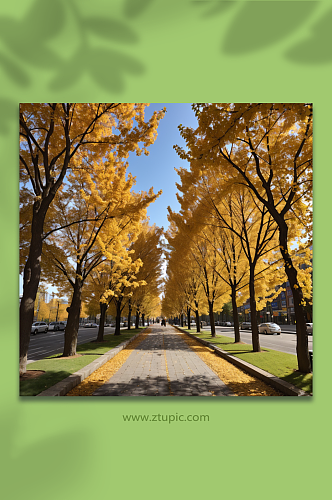 数字艺术秋季金黄树叶摄影图
