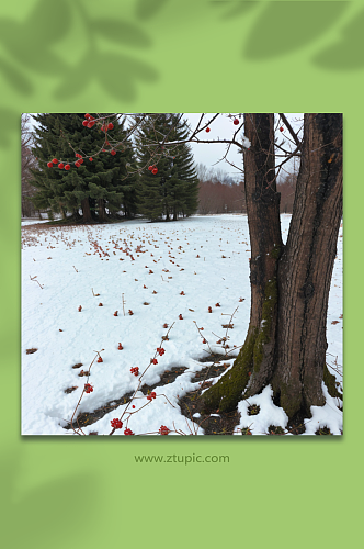 数字艺术冬季雪地风景摄影图