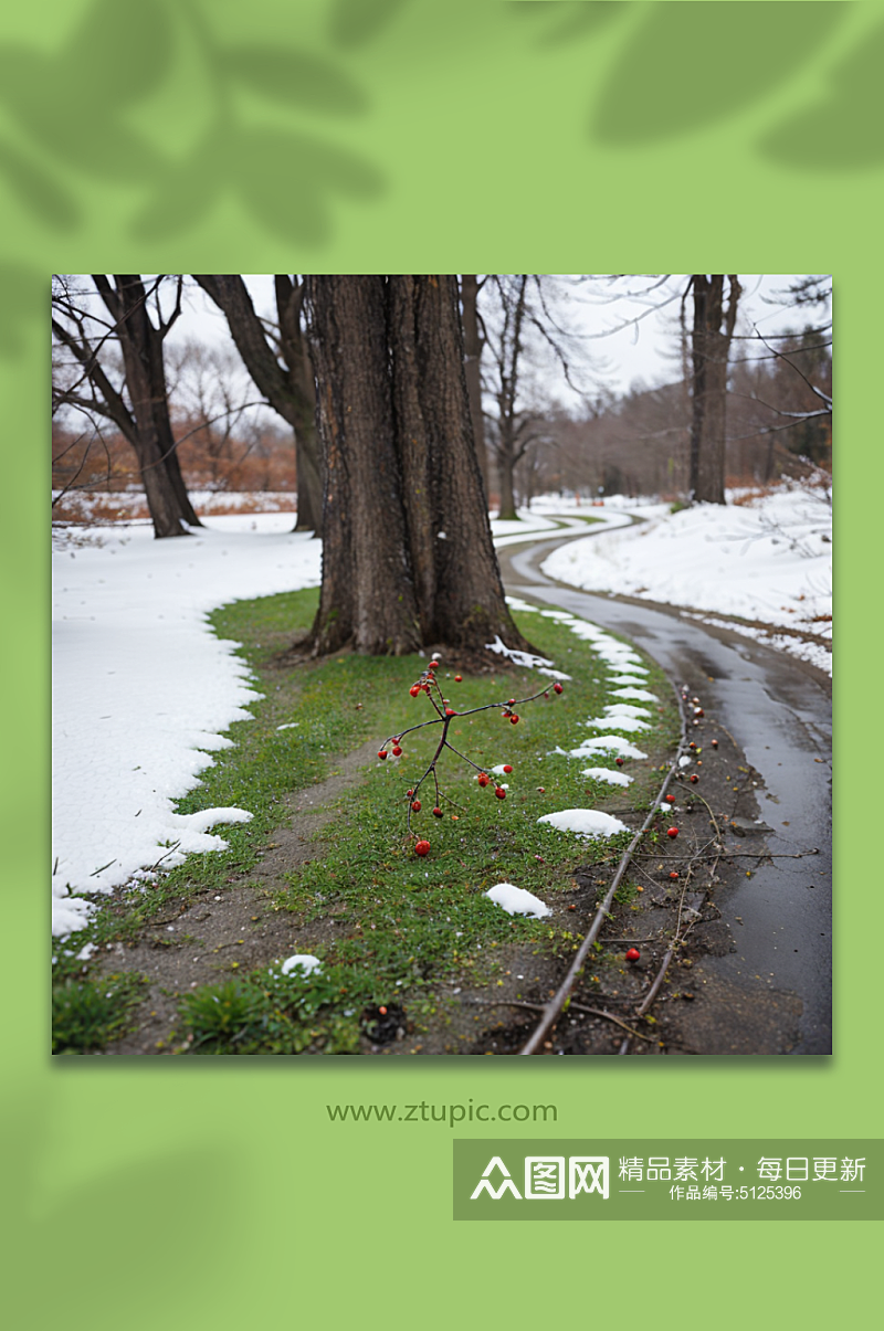 数字艺术冬季雪地特写风景素材