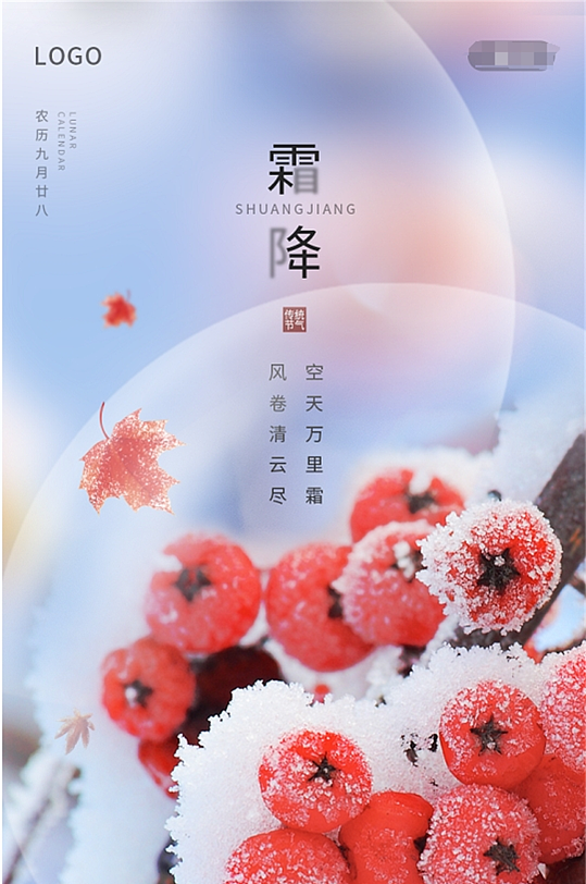 传统节日24节气霜降手机海报