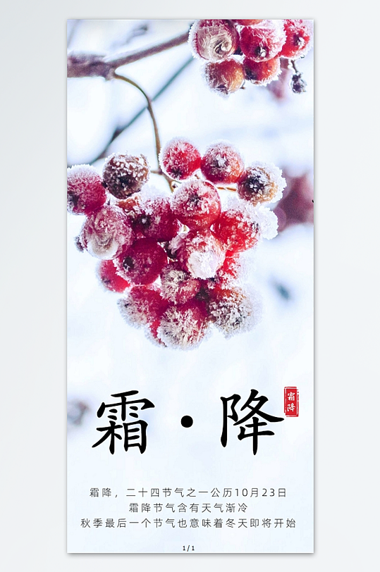 二十四节气霜降节气宣传手机海报