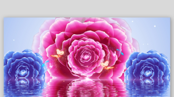 4k大气唯美牡丹开放背景视频古典舞蹈背景-众图网