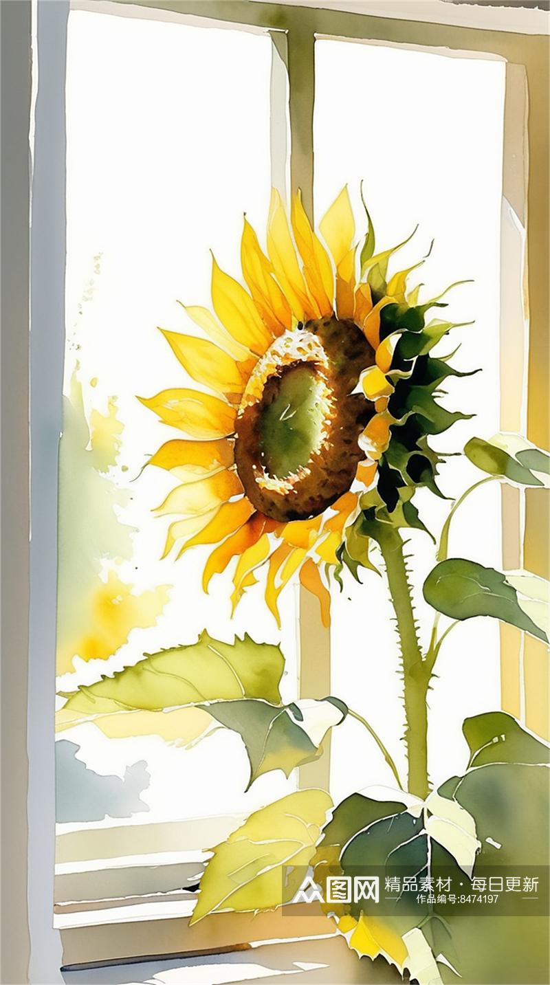数字艺术水彩插画插图太阳花向日葵装饰画素材