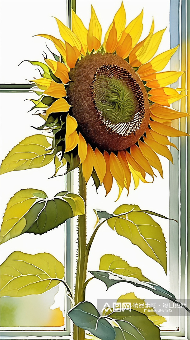 数字艺术水彩插画插图太阳花向日葵素材素材
