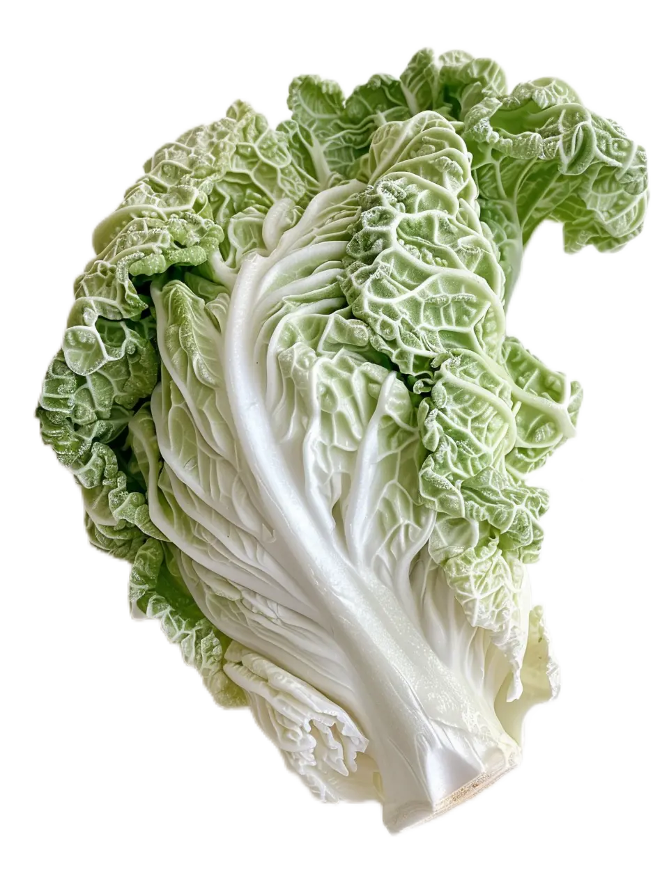 大白菜元素大白菜PNG大白菜手绘免抠素素材