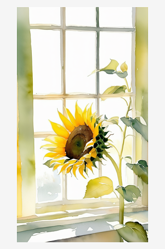 数字艺术水彩插画插图太阳花向日葵插图