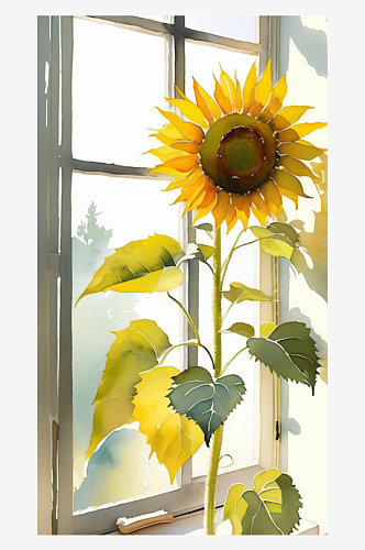 数字艺术水彩插画插图太阳花向日葵插图