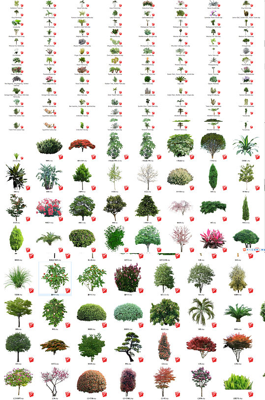 SU600多种自然植物