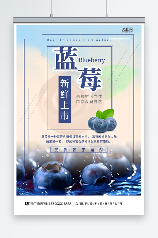 新鲜蓝莓水果店图片海报
