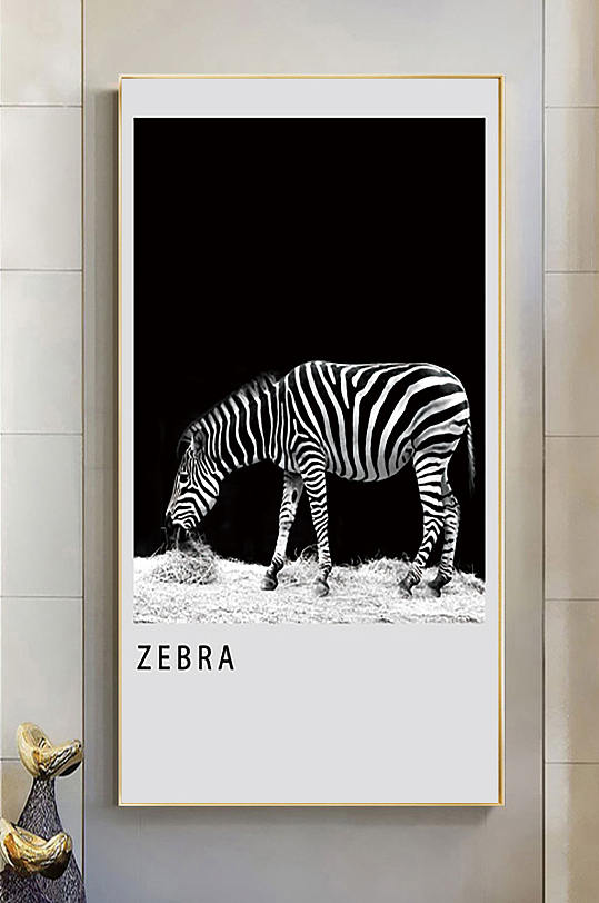 酷黑斑马动物装饰画